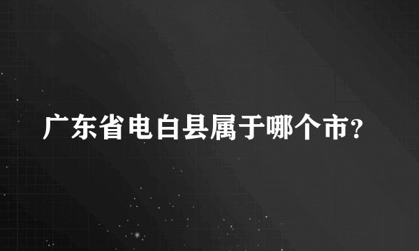 广东省电白县属于哪个市?