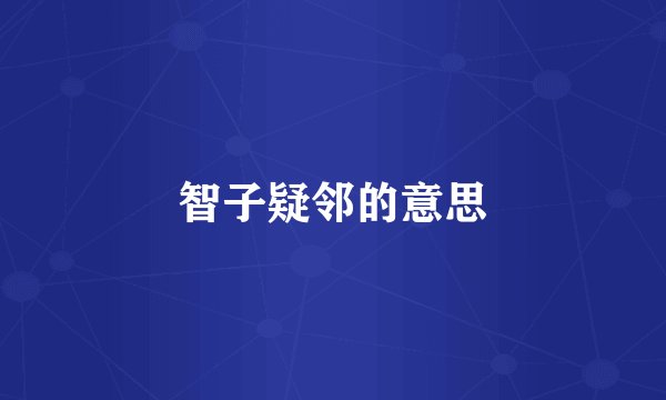 智子疑邻的意思