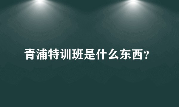 青浦特训班是什么东西？