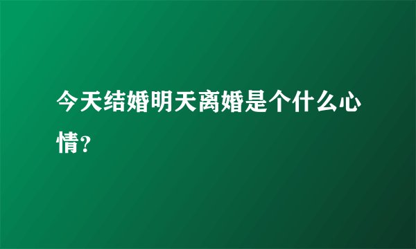 今天结婚明天离婚是个什么心情？