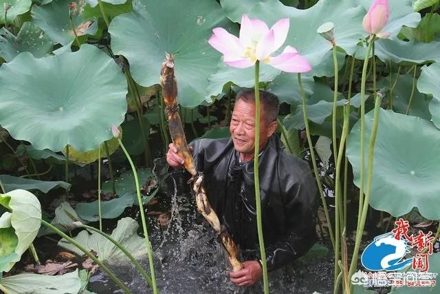 水八鲜是什么