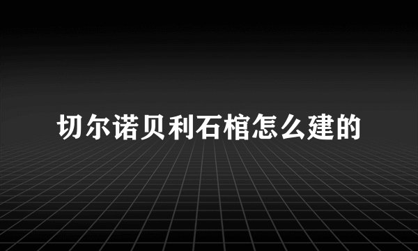 切尔诺贝利石棺怎么建的
