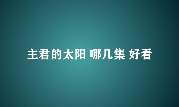 主君的太阳 哪几集 好看
