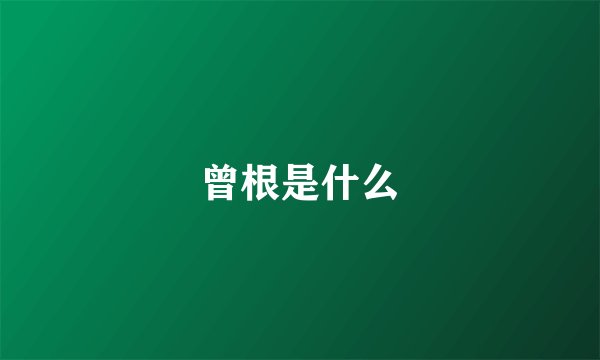 曾根是什么