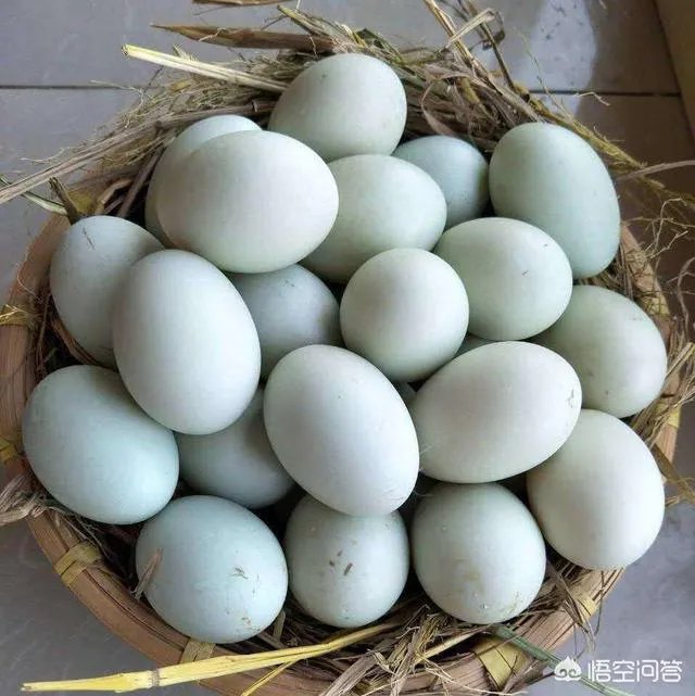如何腌制咸鸭蛋？