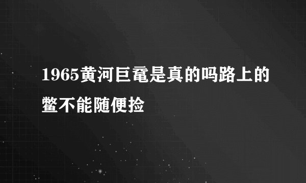 1965黄河巨鼋是真的吗路上的鳖不能随便捡