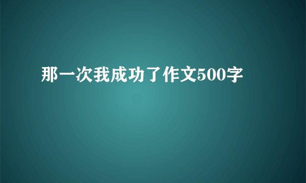 那一次我成功了作文500字