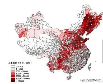 中国哪里玉米最好?