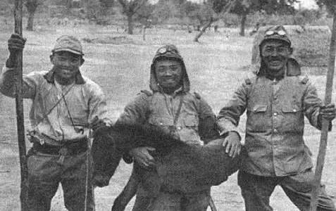 帝国主义国家是指哪几个?