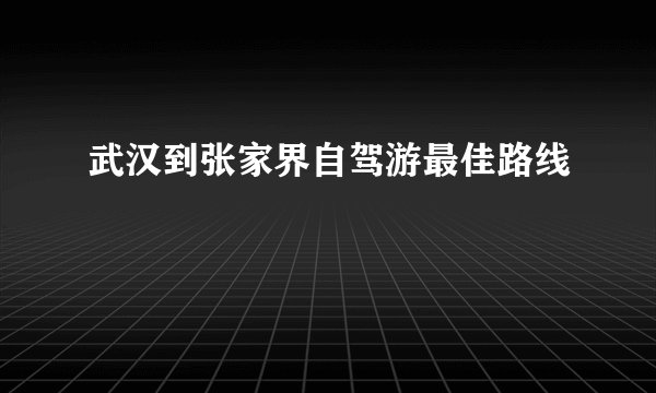 武汉到张家界自驾游最佳路线