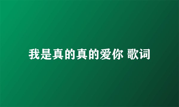 我是真的真的爱你 歌词