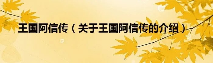 王国阿信传（关于王国阿信传的介绍）