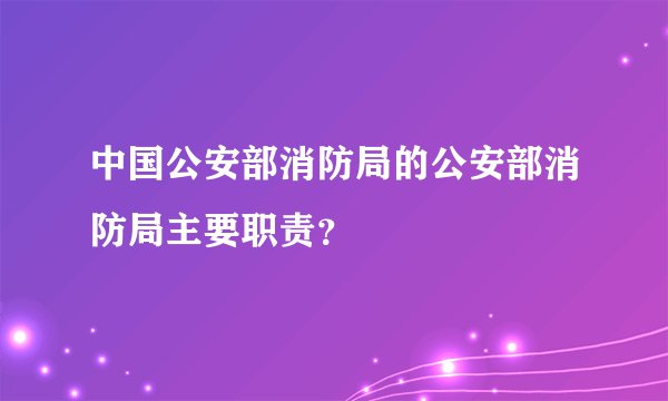 中国公安部消防局的公安部消防局主要职责？