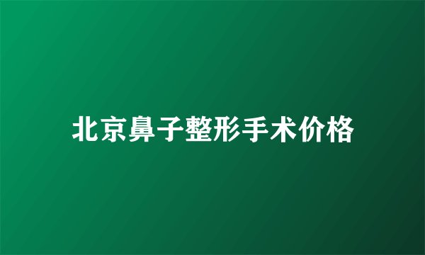 北京鼻子整形手术价格