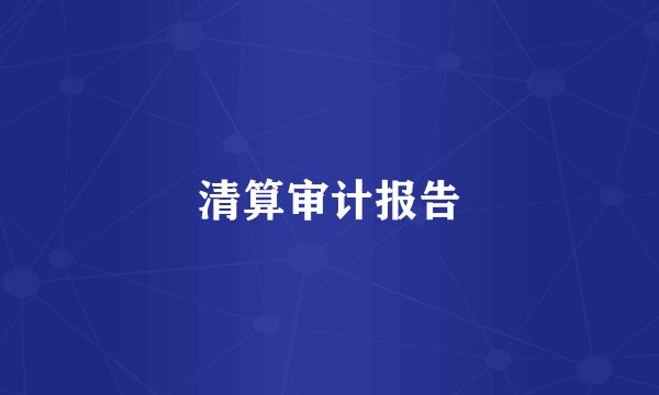 清算审计报告