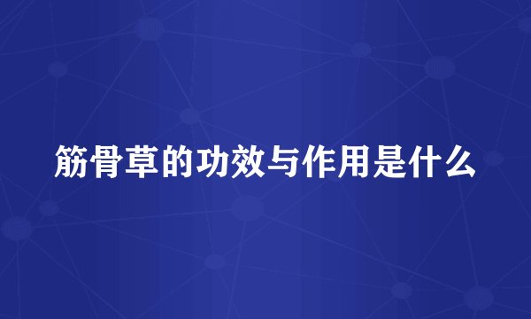 筋骨草的功效与作用是什么