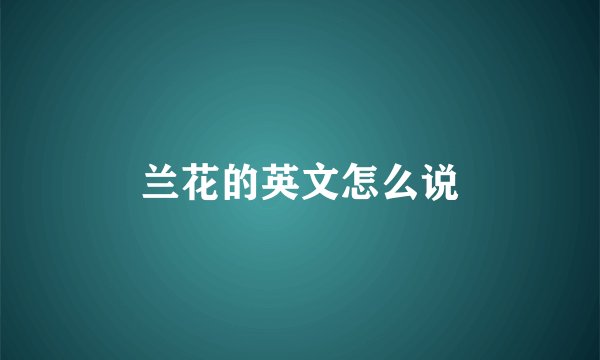 兰花的英文怎么说