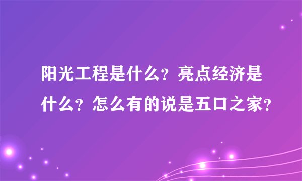 阳光工程是什么?亮点经济是什么?怎么有的说是五口之家?