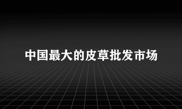 中国最大的皮草批发市场