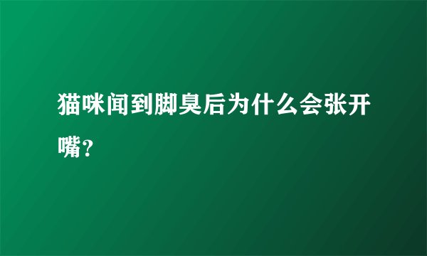 猫咪闻到脚臭后为什么会张开嘴？