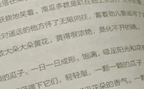 初二语文教学计划