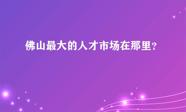佛山最大的人才市场在那里？