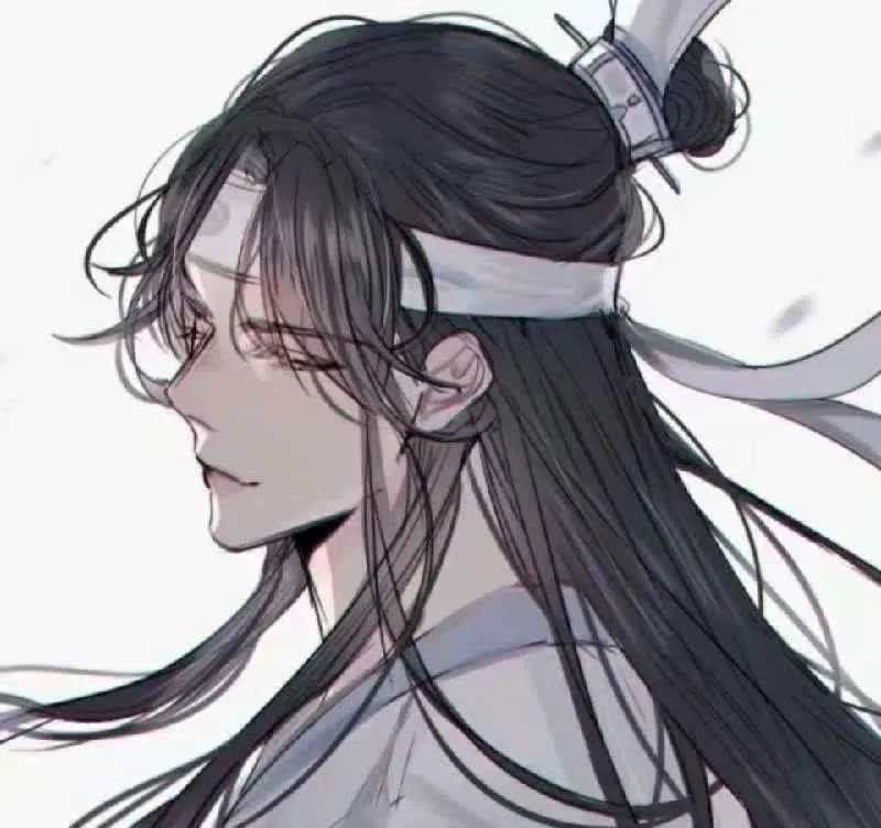 魔道祖师忘羡超污腐图天天