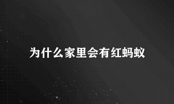 为什么家里会有红蚂蚁