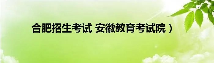 合肥招生考试 安徽教育考试院）
