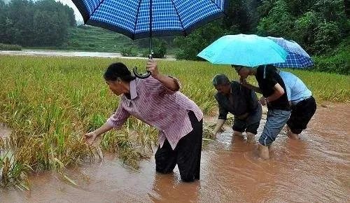 近日7省市将有大到暴雨,在暴雨来临前我们该做哪些准备?