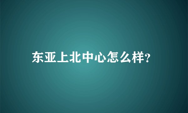 东亚上北中心怎么样？