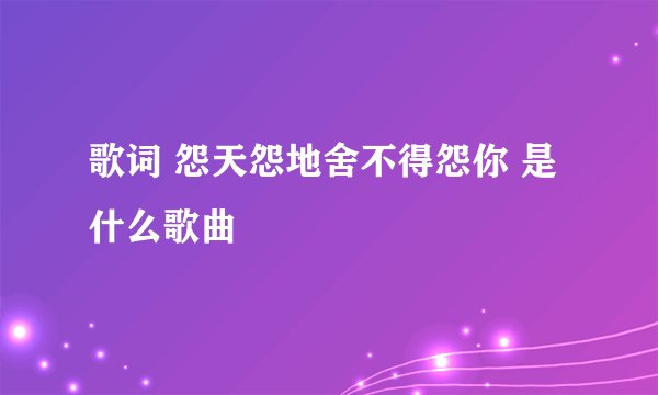 歌词 怨天怨地舍不得怨你 是什么歌曲