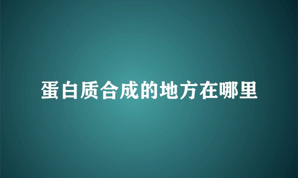 蛋白质合成的地方在哪里