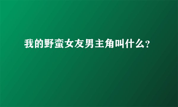我的野蛮女友男主角叫什么？