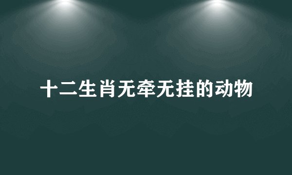 十二生肖无牵无挂的动物