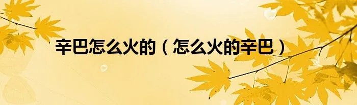 辛巴怎么火的（怎么火的辛巴）