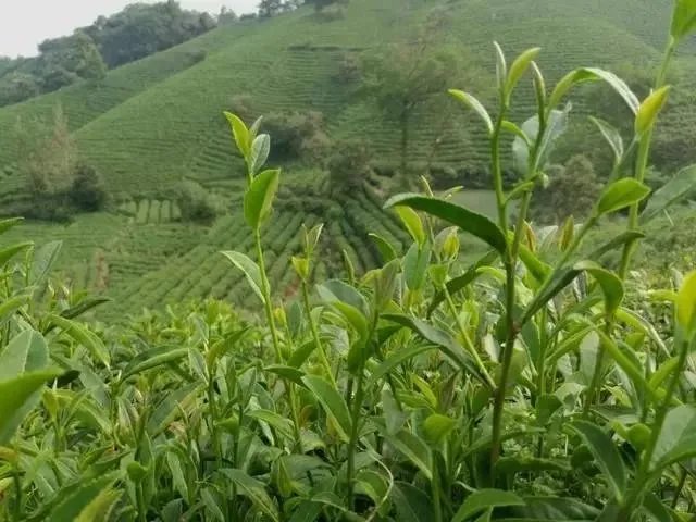 信阳的区号是多少?