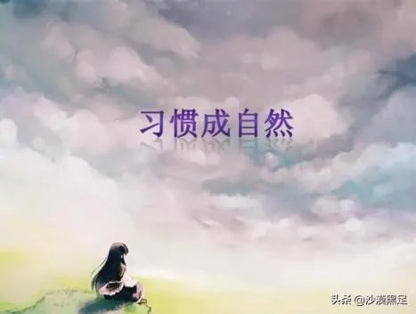 菜价上涨严重,到底是什么原因?