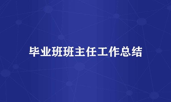 毕业班班主任工作总结