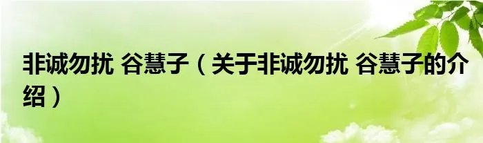 非诚勿扰 谷慧子（关于非诚勿扰 谷慧子的介绍）