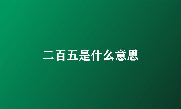 二百五是什么意思