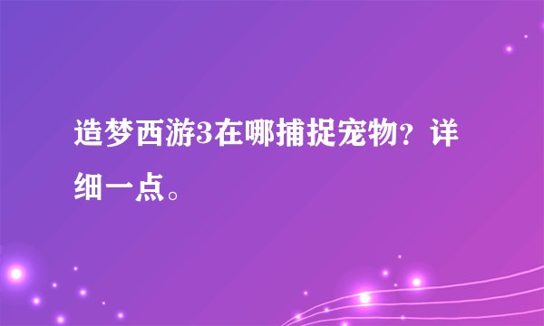 造梦西游3在哪捕捉宠物?详细一点。