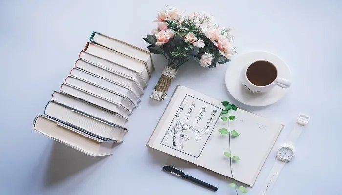 点缀的意思是什么 什么是点缀