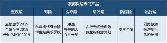 美国友邦保险有限公司