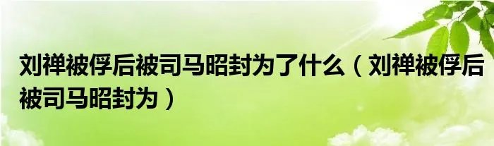 刘禅被俘后被司马昭封为了什么（刘禅被俘后被司马昭封为）