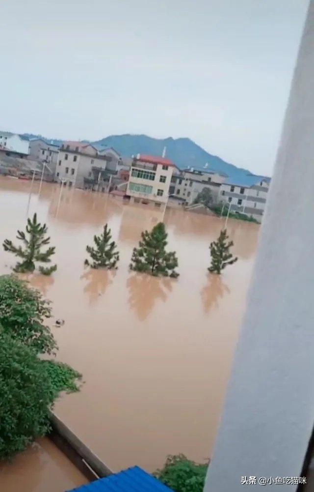 南方汛情是今年严峻，还是98年严峻？
