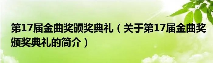 第17届金曲奖颁奖典礼（关于第17届金曲奖颁奖典礼的简介）