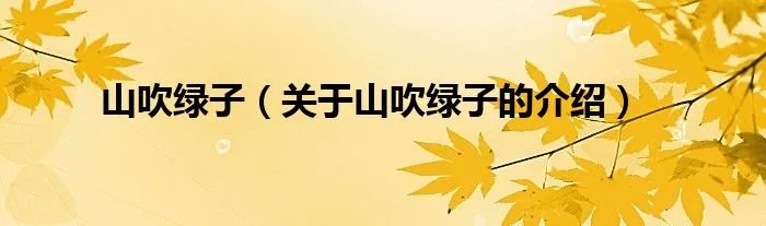 山吹绿子（关于山吹绿子的介绍）