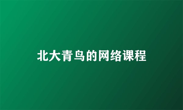 北大青鸟的网络课程