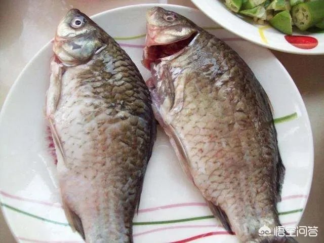 怎样熬鲫鱼汤?